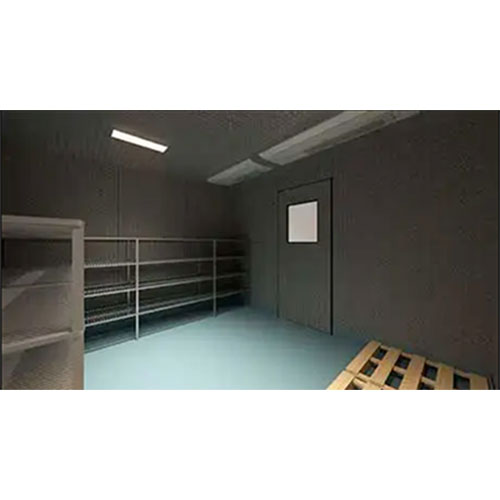 Walk-in freezer on-site cold storage